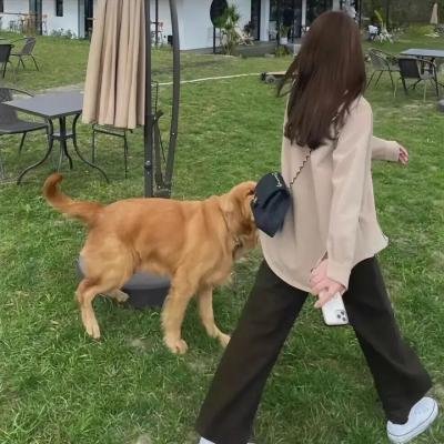 坚守希望